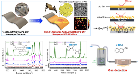[김정훈 교수 연구실] Mesoporous Au films assembled on flexible cellulose nanopaper as high-performance SERS substra